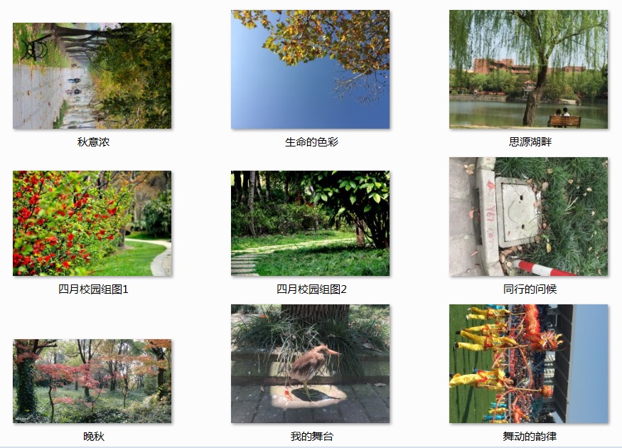 317f33cd08c9656c18332395ea0cb8df.jpg 投稿5.jpg